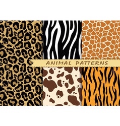 Seamless patterns set with animal skin texture Seamless patterns set with animal skin texture vector image