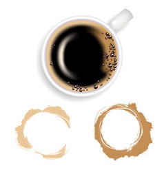 Coffee coffee and stain vector image
