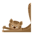 Cute furry cat animal vector image