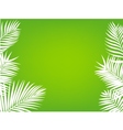 Palm leaf background vector image