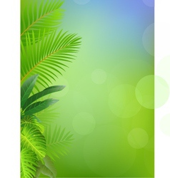 Nature background vector image