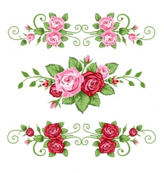 Retro roses vector image