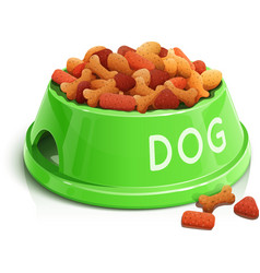 Bowl with dog feed vector image