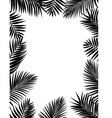 Palm leaf background vector image