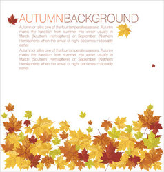 Autumn background vector image
