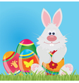 Bunny vector image