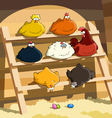 Henhouse vector image