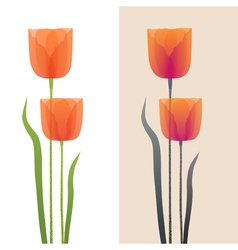 Poppies vector image