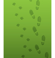 Foot prints vector image