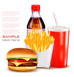 Group of fast food products vector image