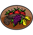 Fruit wheat harvest vector image