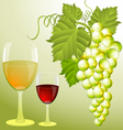 Grapes and wine vector image