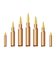 Caliber bullets vector image