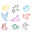 Pigeons and doves vector image