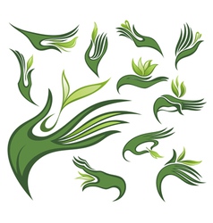 Spring leaves wirh human hands Spring leaves wirh human hands vector image