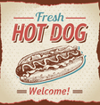 Vintage hot dogs background vector image