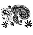 Paisley cannabis vector image
