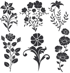 Flowers decorative vector image