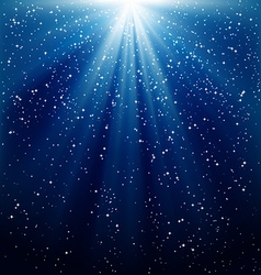Christmas snowfall vector image