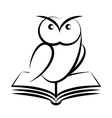Cartoon of owl and book - symbol of wisdom vector image