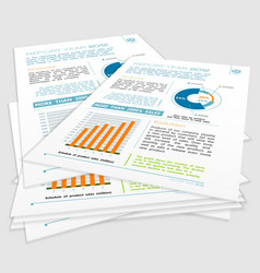 Company Year Report vector image