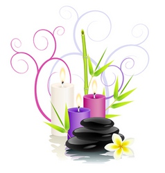 Spa theme vector image