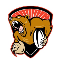 Rugby bear shield Rugby bear shield vector image