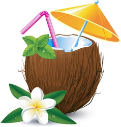 Coconut drink vector image