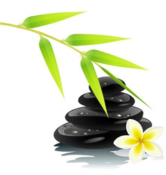 Zen ambiance vector image
