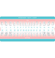 Dental chart vector image