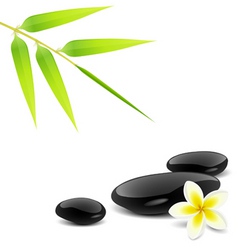 Zen theme vector image
