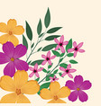 Flowers leaves flourishes image vector image