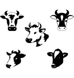 Set of icons with cow vector image