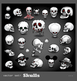 Set of skulls vector image