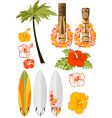 Hawaiian icons vector image