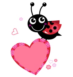 Cute flying Ladybug with heart isolated on white vector image