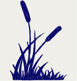 Swamp sketch vector image