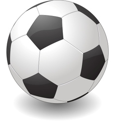Soccer ball isolated on white background vector image