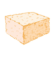 Sponge vector image