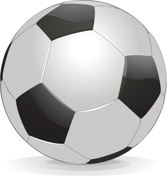 Soccer ball isolated on white background vector image