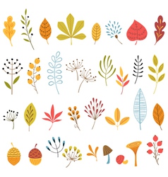 Autumn floral design elements vector image