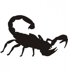 Scorpion vector image