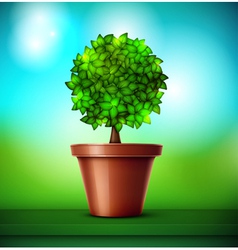 Tree in pot vector image