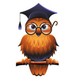 Wise owl vector image
