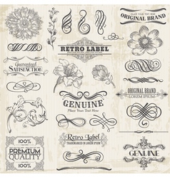 Set Calligraphic Design Elements vector image