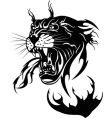 The black panther vector image