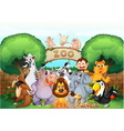Zoo and animals vector image