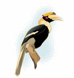 Hornbill vector image