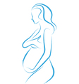 Pregnant woman vector image