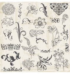 Calligraphic Flower Design Elements and Page Decor vector image